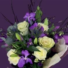 Purple &amp; White Handtie
