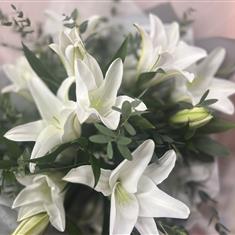Handtie Lily