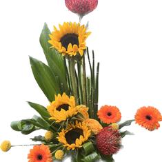 Arrangement Florist Choice Vibrant
