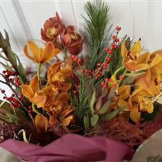 Opulent Orchid