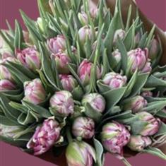 Handtie Tulip Classic