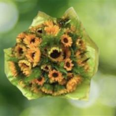 Handtie Sunflower