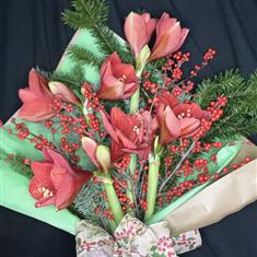 Christmas Amaryllis Bouquet