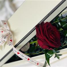 Rose in a Box