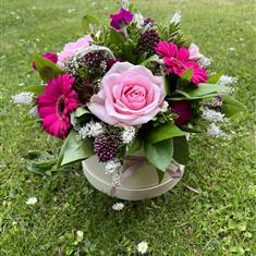 Hatbox Pinks
