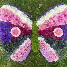 Butterfly Funeral Tribute